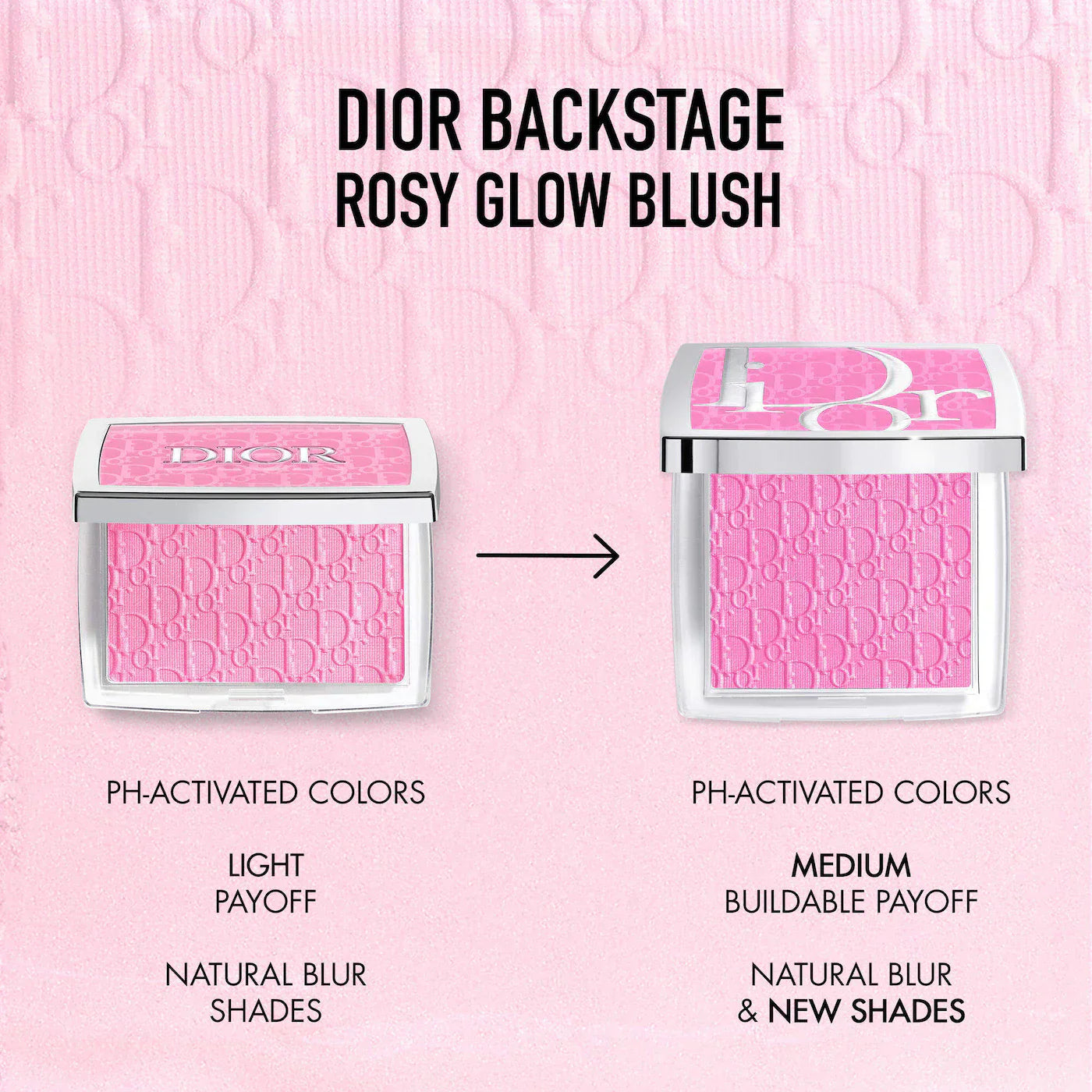 DIOR Backstage Blushes